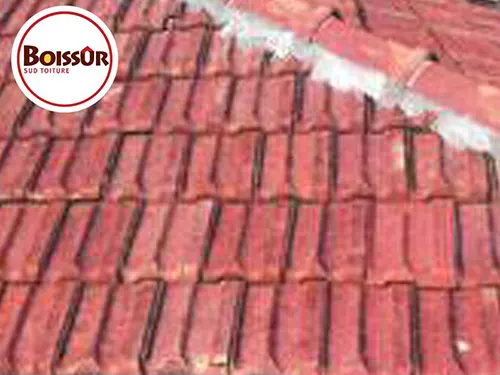 Démoussage toiture à Fréjus